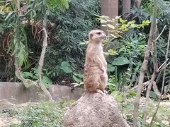 -广州长隆野生动物世界