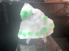 -中国地质大学逸夫博物馆