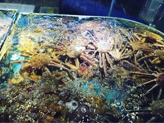 -蟹之国·精品蟹料理(极地店)