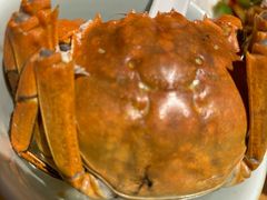 -卢小厨私房菜(长兴店)