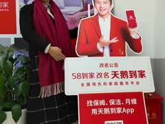 -天鹅到家·保姆月嫂育儿嫂(朝阳店)