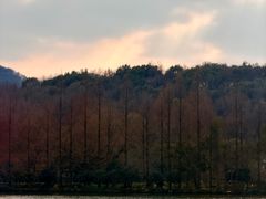 -西湖游船