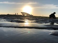 -南汇嘴观海公园