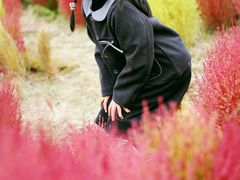 -天津东丽湖风景区