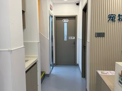 -宠物星动物医院·眼科·异宠·猫科(江南大道总院)