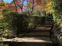 -常寂光寺