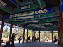 -西海子公园