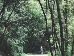 -终南山国家森林公园