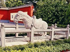 -洛阳白马寺