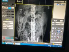 -邢大夫动物医院