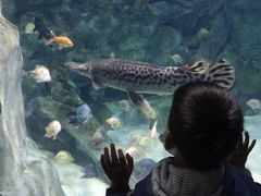 -常州海昌海洋探索馆