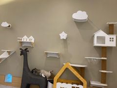 -猫域·湾主题猫咖·宠物吧(南坪城市广场店)