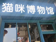 -猫咪博物馆(顶澳仔猫街店)