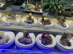 -大众海鲜(巨龙北路店)