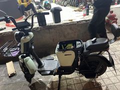 -绿源电动车(普陀专卖店)