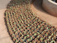 -Torch Coffee 炬点咖啡