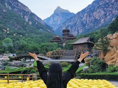 -禅宗少林·音乐大典