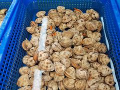 -宝燕海货工场(长江国际店)