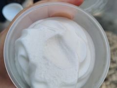 -洪馨椰子