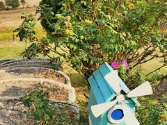 -黄色小屋