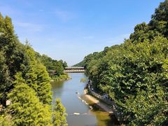 -广州市帽峰山景区