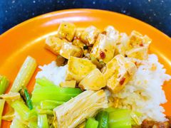 -天津大学学五食堂连岗餐饮