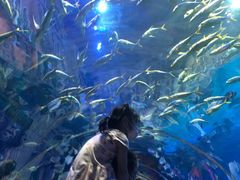 -华夏文旅海洋公园