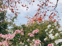 -晓港公园
