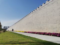 -洛阳市隋唐城遗址植物园