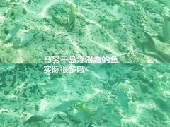 -马奴干岛