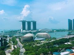 -新加坡瑞士史丹福酒店