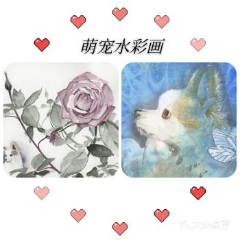 我也养过很多小狗，但是却没有将它们的模样所记录下来