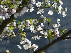 -七宝老街-闵行市民文化广场