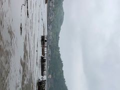 -北岐滩涂