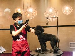 -MOLLY'S萌宠生活馆