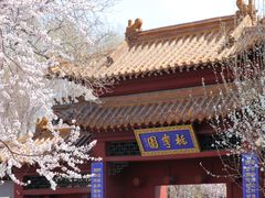 -桃花堤公园
