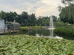 -成飞公园