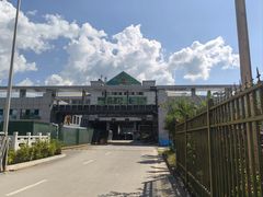 -打洛口岸