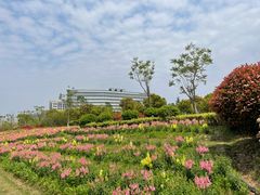 -春花秋色城市公园