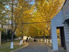 -辽宁大学(崇山校区)