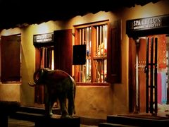 -Ministry of Crab(科伦坡店)