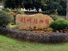 -东莞植物园