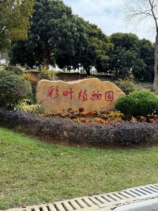 东莞植物园图片