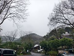 -龙井村