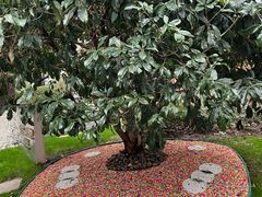 -张江润和国际总部园