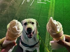 -麦当劳(望京国际商业中心店)