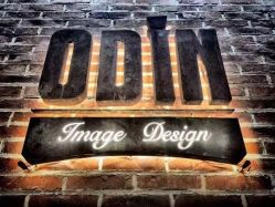 -ODIN 奥丁形象设计 