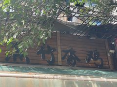 -黑竹香鸡(营和巷店)