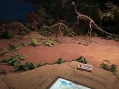 -自贡恐龙博物馆