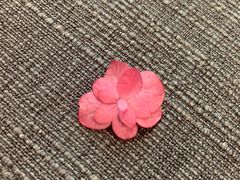 -御花园·粤菜·海鲜火锅(中山公园店)